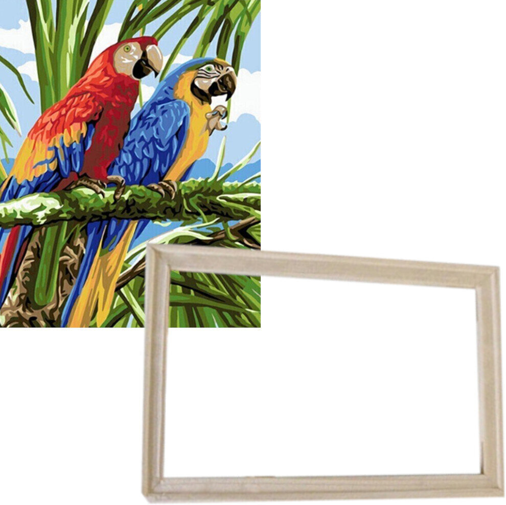 Painting by Numbers Gaira With Frame Without Stretched Canvas Parrots