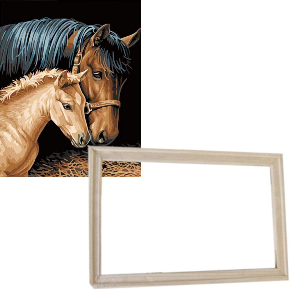 Painting by Numbers Gaira With Frame Without Stretched Canvas Horses