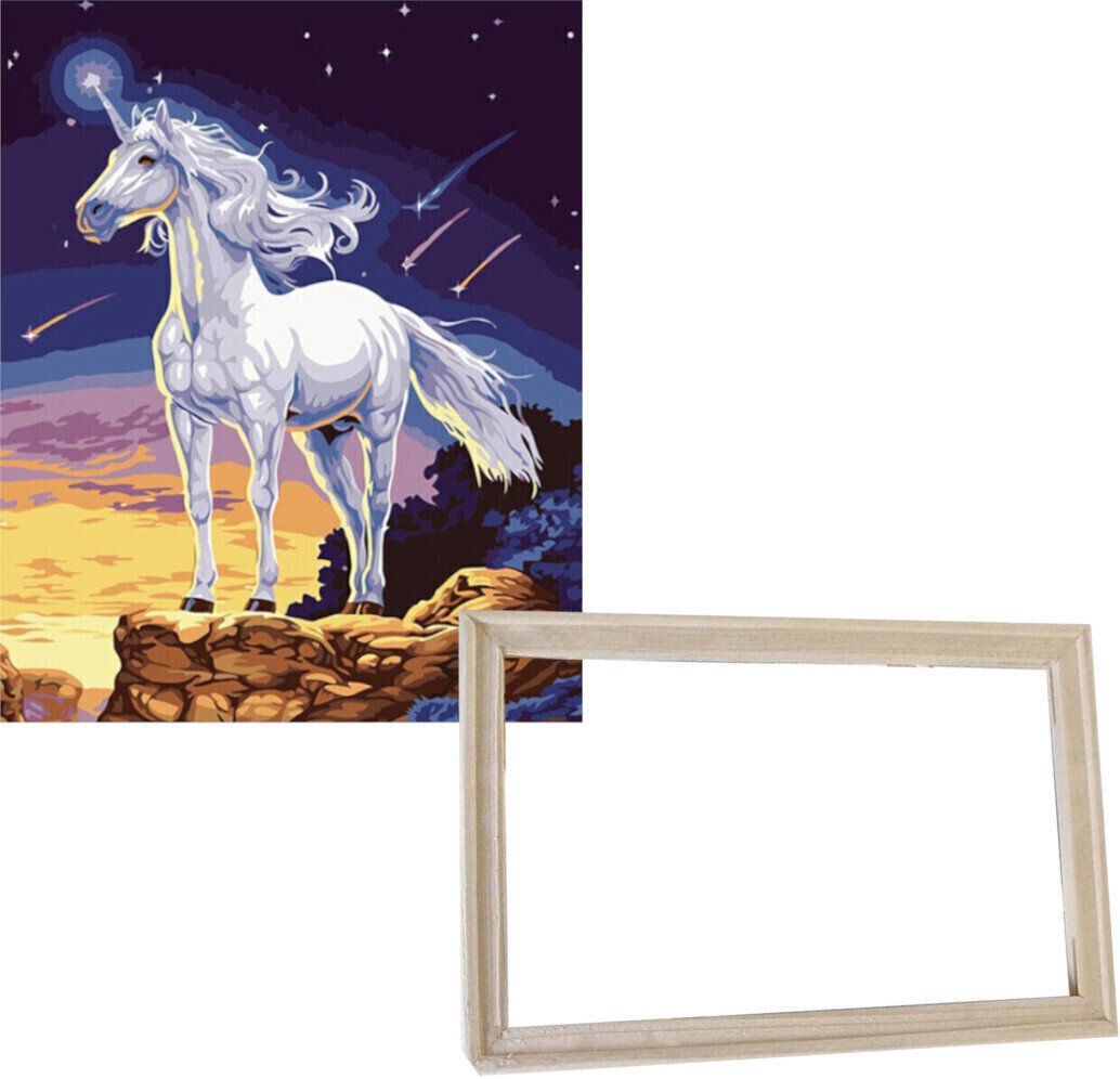 Schilderen op nummer Gaira With Frame Without Stretched Canvas Unicorn