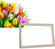 Gaira Mit Rahmen ohne Keilrahmen Tulpen