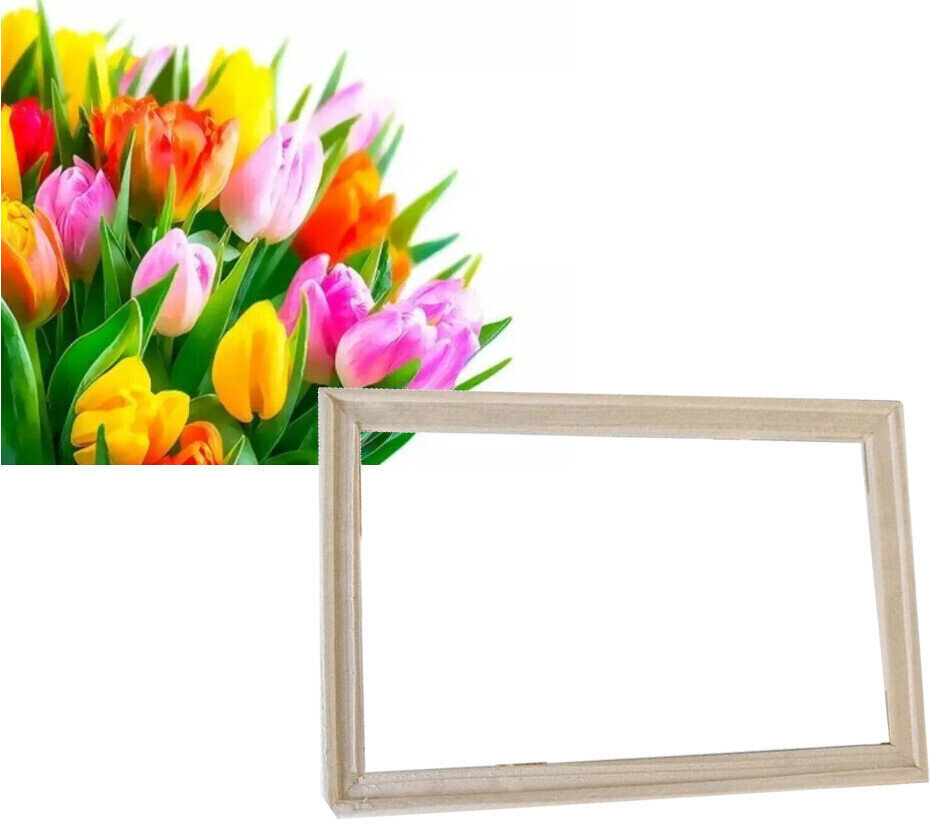 Maling efter tal Gaira With Frame Without Stretched Canvas Tulips