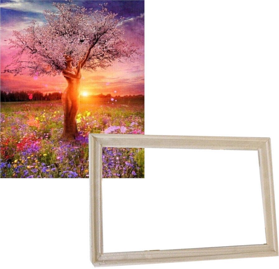 Schilderen op nummer Gaira With Frame Without Stretched Canvas Woman In A Tree