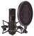 Studio Condenser Microphone Sontronics STC-3X Pack BK Studio Condenser Microphone