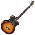Takamine GB72CE Brown Sunburst Baixo acústico (Tao bons como novos)