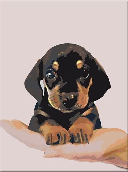 Рисуване по номера Zuty Мозайка Късокосместо кученце от дакел
