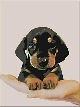 Рисуване по номера Zuty Мозайка Късокосместо кученце от дакел - 1