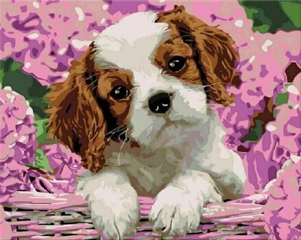 Рисуване по номера Zuty Мозайка Кученце и хортензия - 1