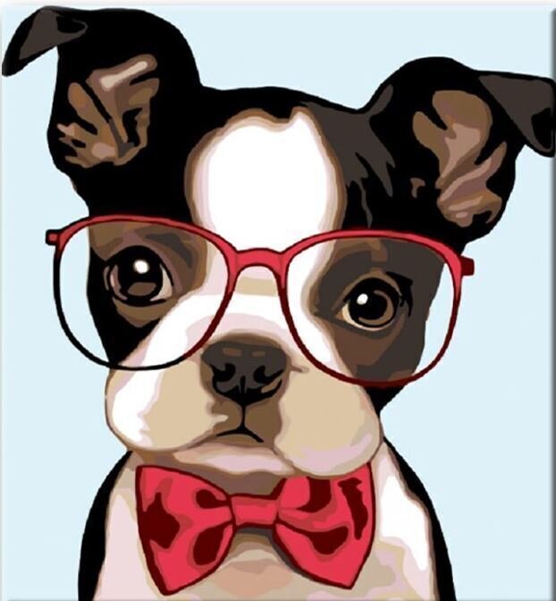 Schilderen op nummer Zuty Schilderen met nummers Bulldog With Glasses