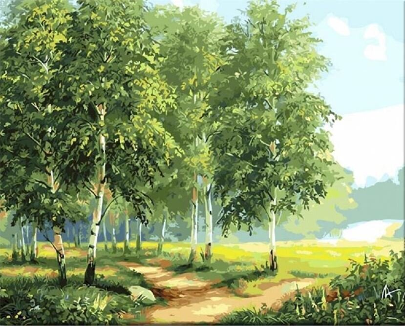 Painting by Numbers Zuty Painting by Numbers Birches By The Road II