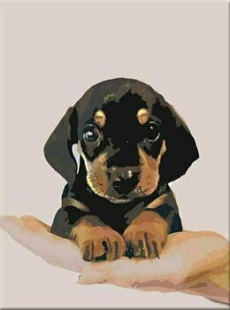Maling efter tal Zuty Maling efter tal Shorthaired Dachshund Puppy - 1