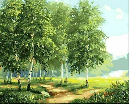 Pintura por números Zuty Pintura por números Birches By The Road II - 1