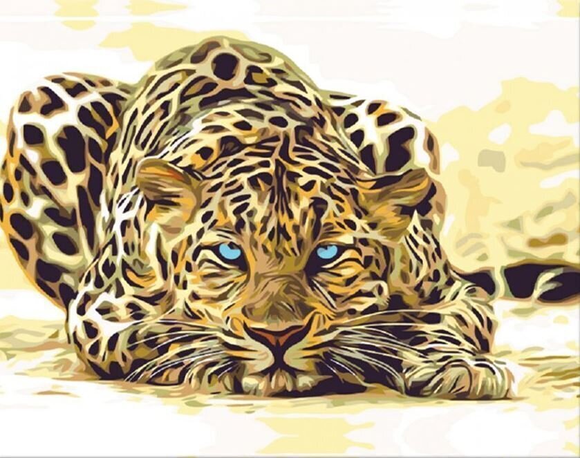 Slikanje po brojevima Zuty Slikanje po brojevima Leopard