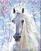 Painting by Numbers Zuty Painting by Numbers White Horse