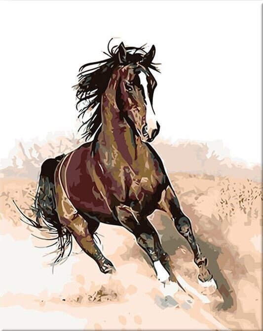Slikanje po brojevima Zuty Slikanje po brojevima Konj u galopu