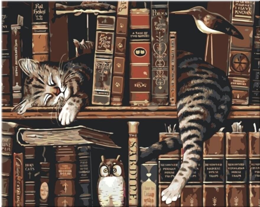 Zuty Pictură pe numere Pisica în bibliotecă