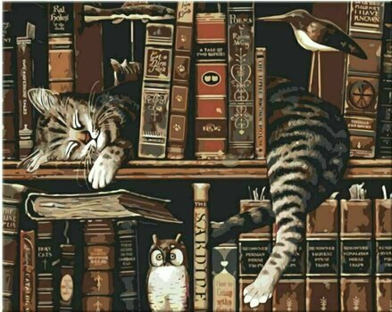 Picturi pe numere Zuty Pictură pe numere Pisica în bibliotecă - 1