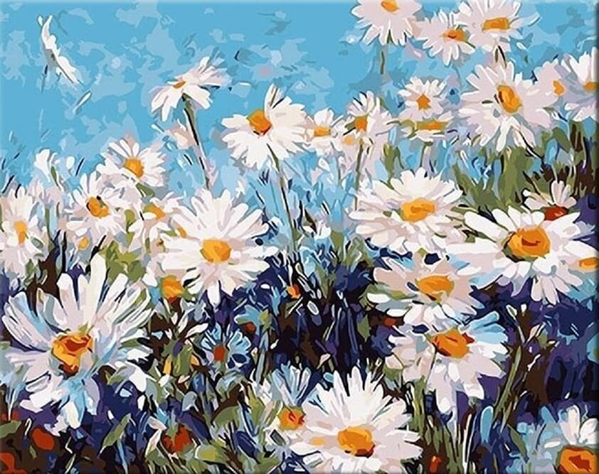 Painting by Numbers Zuty Painting by Numbers Daisies