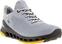 Men's golf shoes Ecco Biom Cool Pro Silver-Grey 42