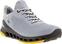 Golfijalatsid meestele Ecco Biom Cool Pro Grey 40 Golfijalatsid meestele
