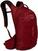 Cycling backpack and accessories Osprey Raptor Wildfire Red Backpack