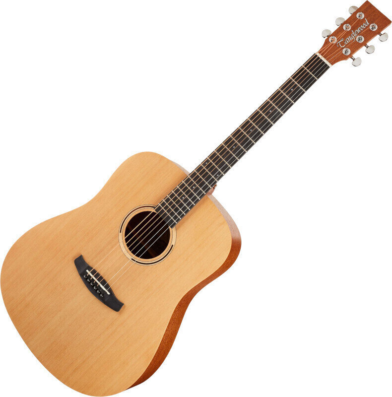 Akoestische gitaar Tanglewood TWR2 D Natural Satin