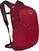 Lifestyle Rucksäck / Tasche Osprey Daylite Plus Cosmic Red 20 L Rucksack