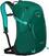 Outdoor Backpack Osprey Hikelite 18 Aloe Green 18 L Outdoor Backpack