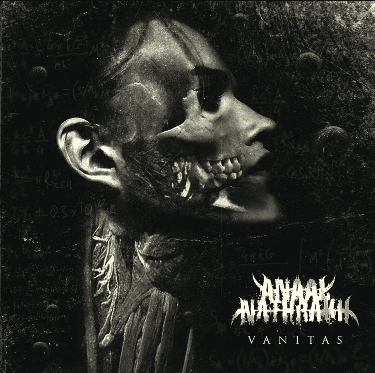 Hanglemez Anaal Nathrakh - Vanitas (Reissue) (LP)