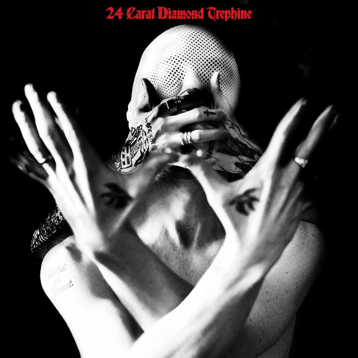Schallplatte Avalanche Party - 24 Carat Diamond Trephine (LP)