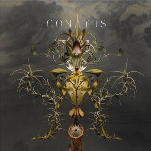 Vinyylilevy Joep Beving - Conatus (2 LP)