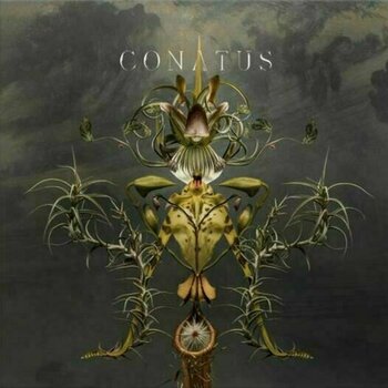 Hanglemez Joep Beving - Conatus (2 LP) - 1