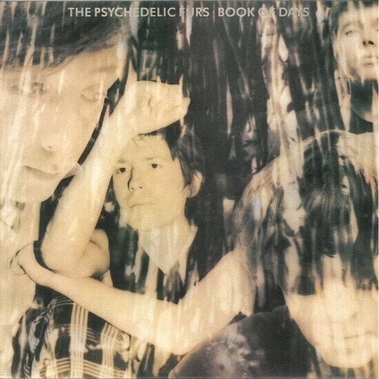 Disque vinyle The Psychedelic Furs - Book Of Days (LP)