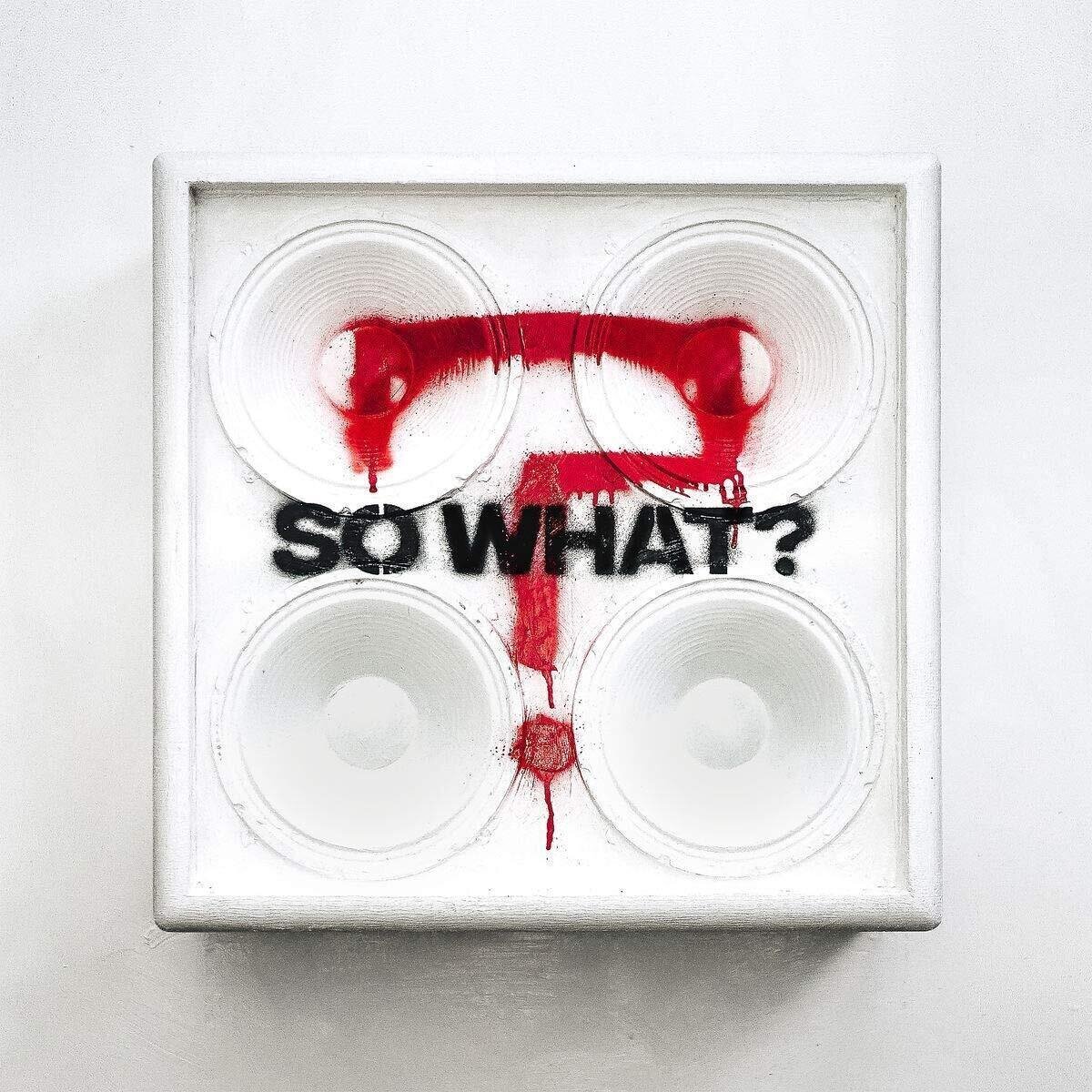 Disque vinyle While She Sleeps - So What? (2 LP)