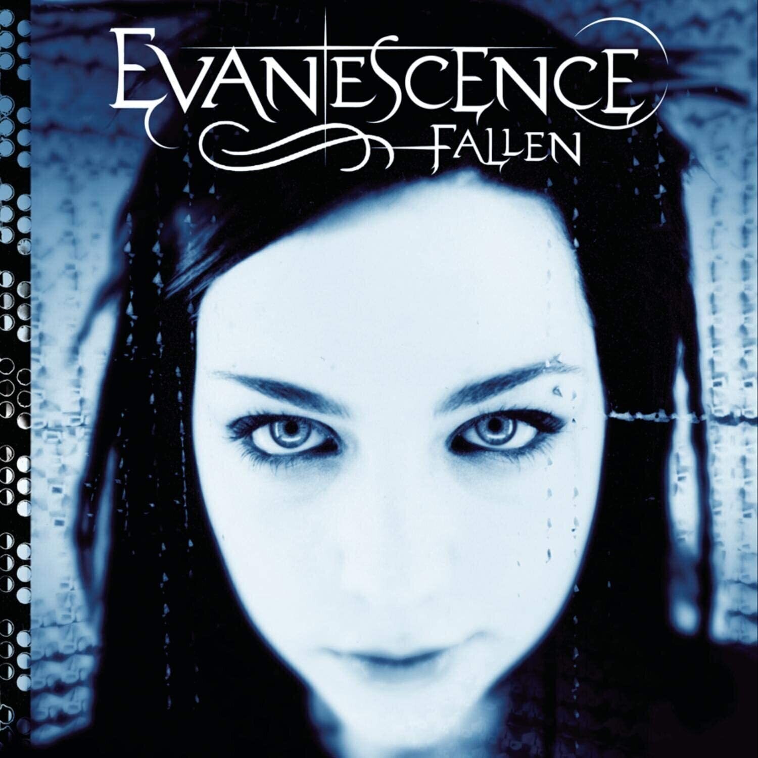 Disco de vinil Evanescence - Fallen (LP)