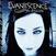 Vinylskiva Evanescence - Fallen (LP)