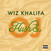 Schallplatte Wiz Khalifa - Kush & Orange Juice (Green Coloured) (2 LP)