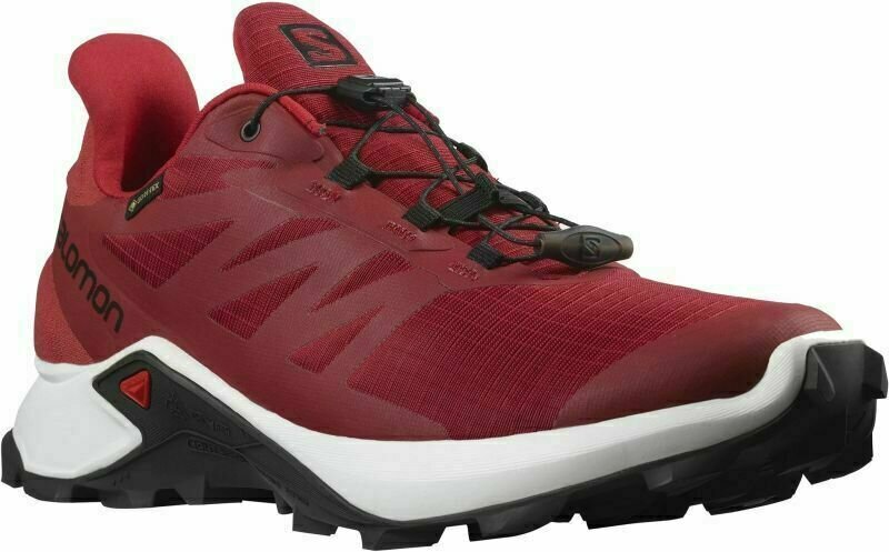 Salomon 43 online