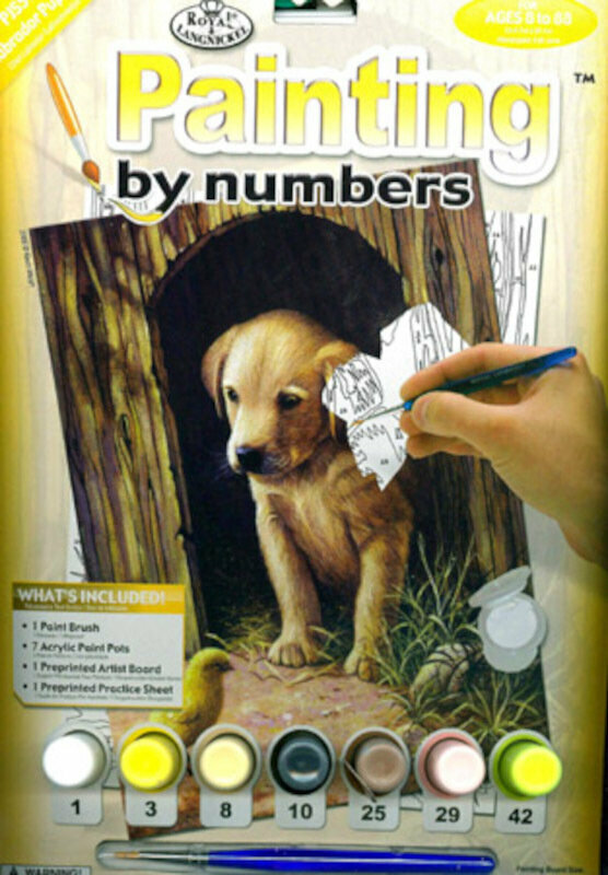 Schilderen op nummer Royal & Langnickel Schilderen met nummers Labrador