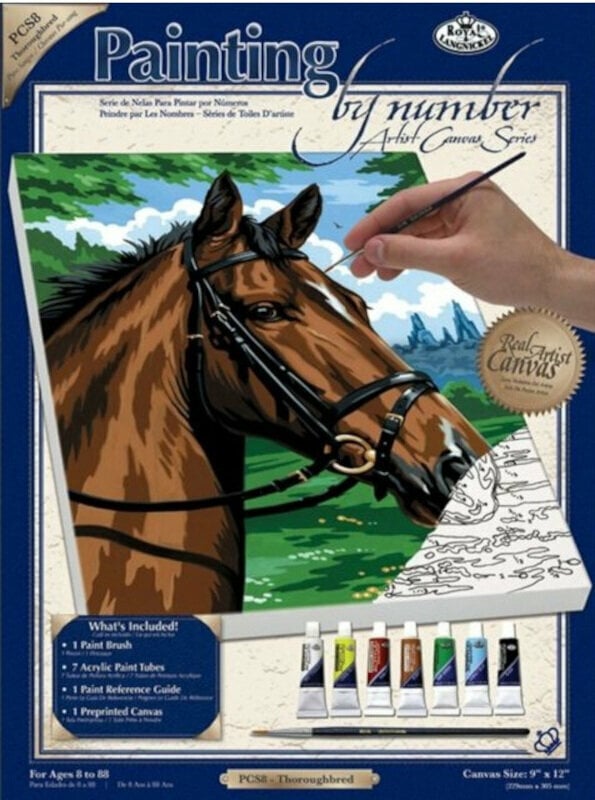 Dipingere con i numeri Royal & Langnickel Colorare coi numeri Un cavallo