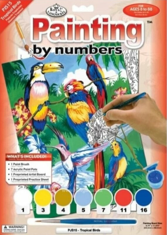 Peinture par numéros Royal & Langnickel Peinture par numéros Oiseaux Tropicaux