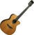 Classical Guitar with Preamp LAG Tramontane HyVibe 15 Nylon