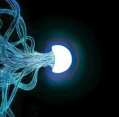 LP ploča Elephant Tree - Elephant Tree (LP)