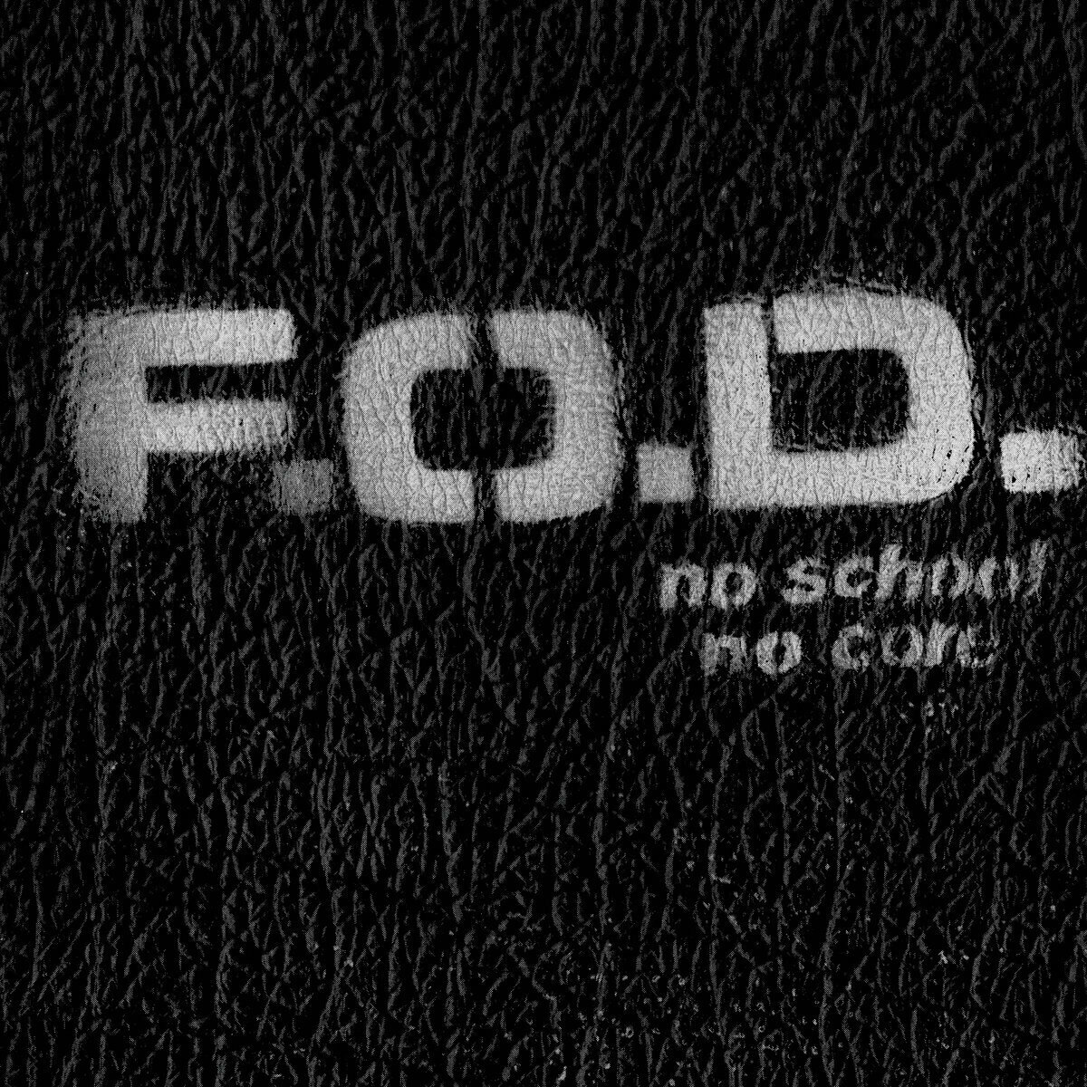 Vinyl Record Flag Of Democracy - No School, No Core (LP)