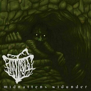 LP Finntroll - Midnattens Widunder (Reissue) (LP) - 1