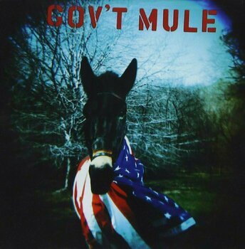 Vinylskiva Govt Mule - Govt Mule (2 LP) - 1