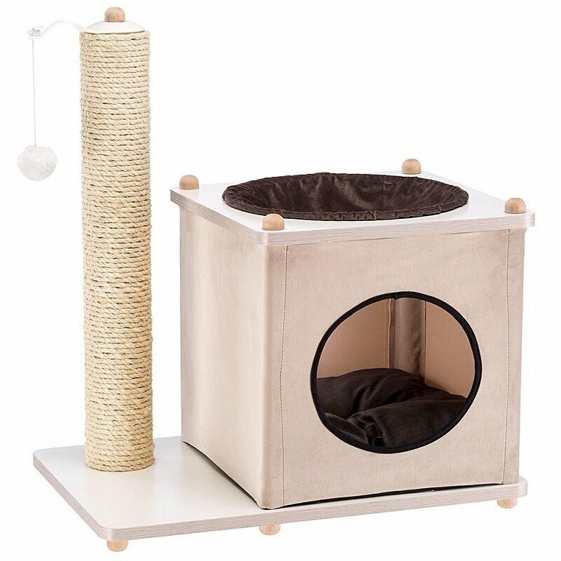 cat hammock kmart
