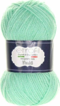 Knitting Yarn Etrofil Vivaldi 016 Mint - 1