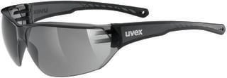 UVEX Sportstyle 204 Smoke