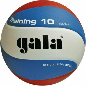Hallenvolleyball Gala Training 10 Hallenvolleyball - 1