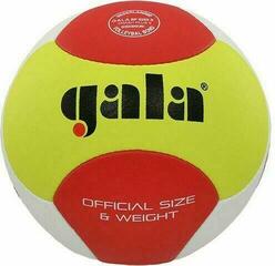 Gala Smash Plus 6 Volleyball Ball